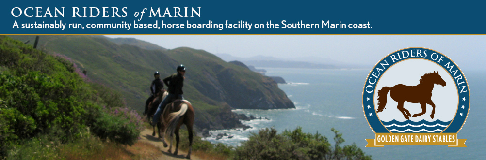Ocean Riders of Marin